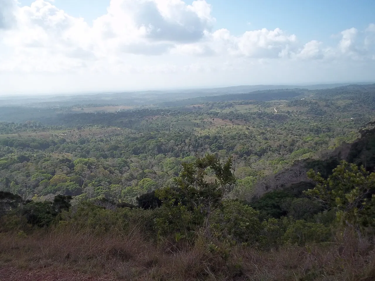 Shimba Hills National Reserve, Mombasa, Mombasa County, Kenya