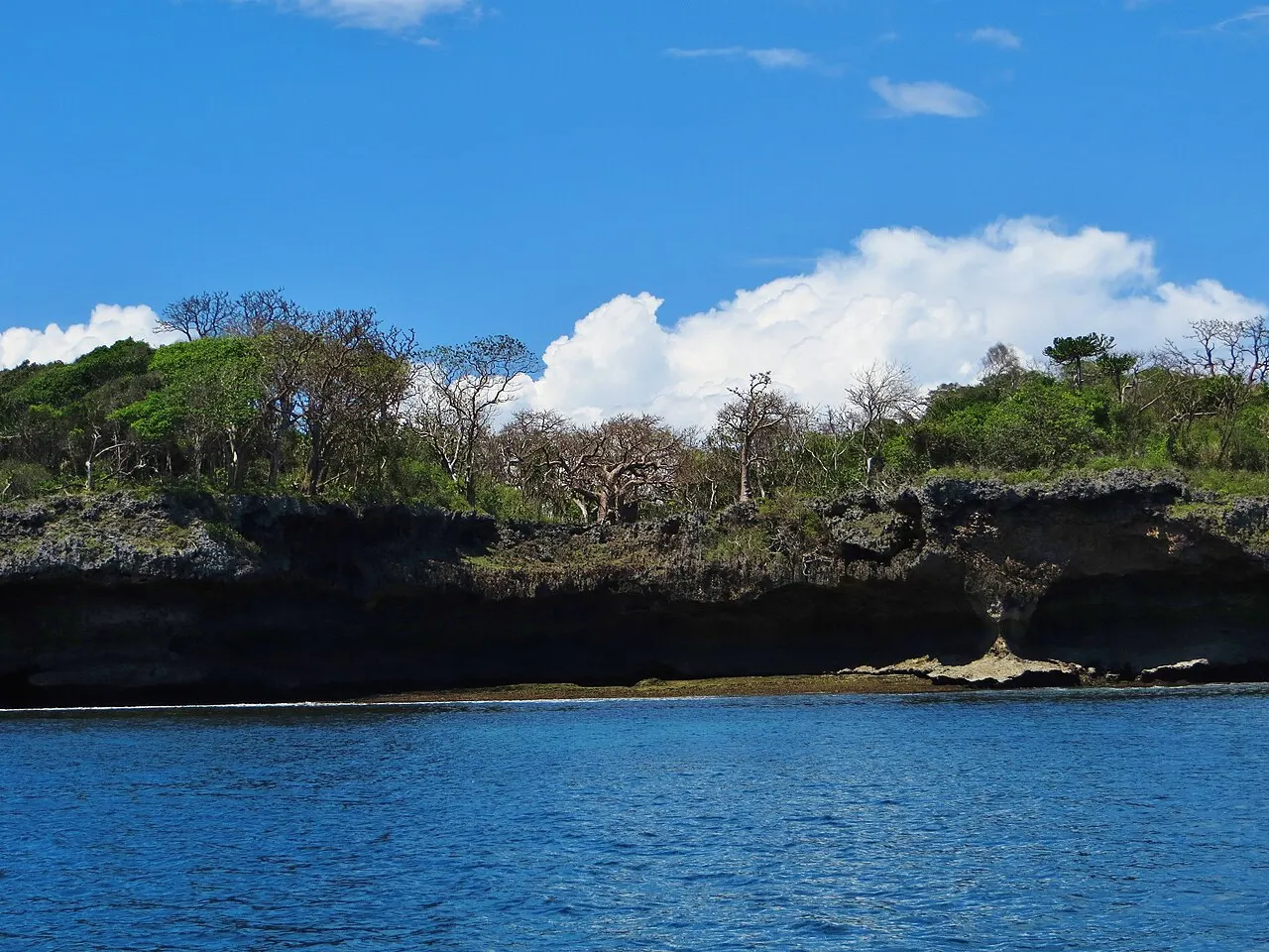 Wasini Island, Mombasa, Mombasa County, Kenya