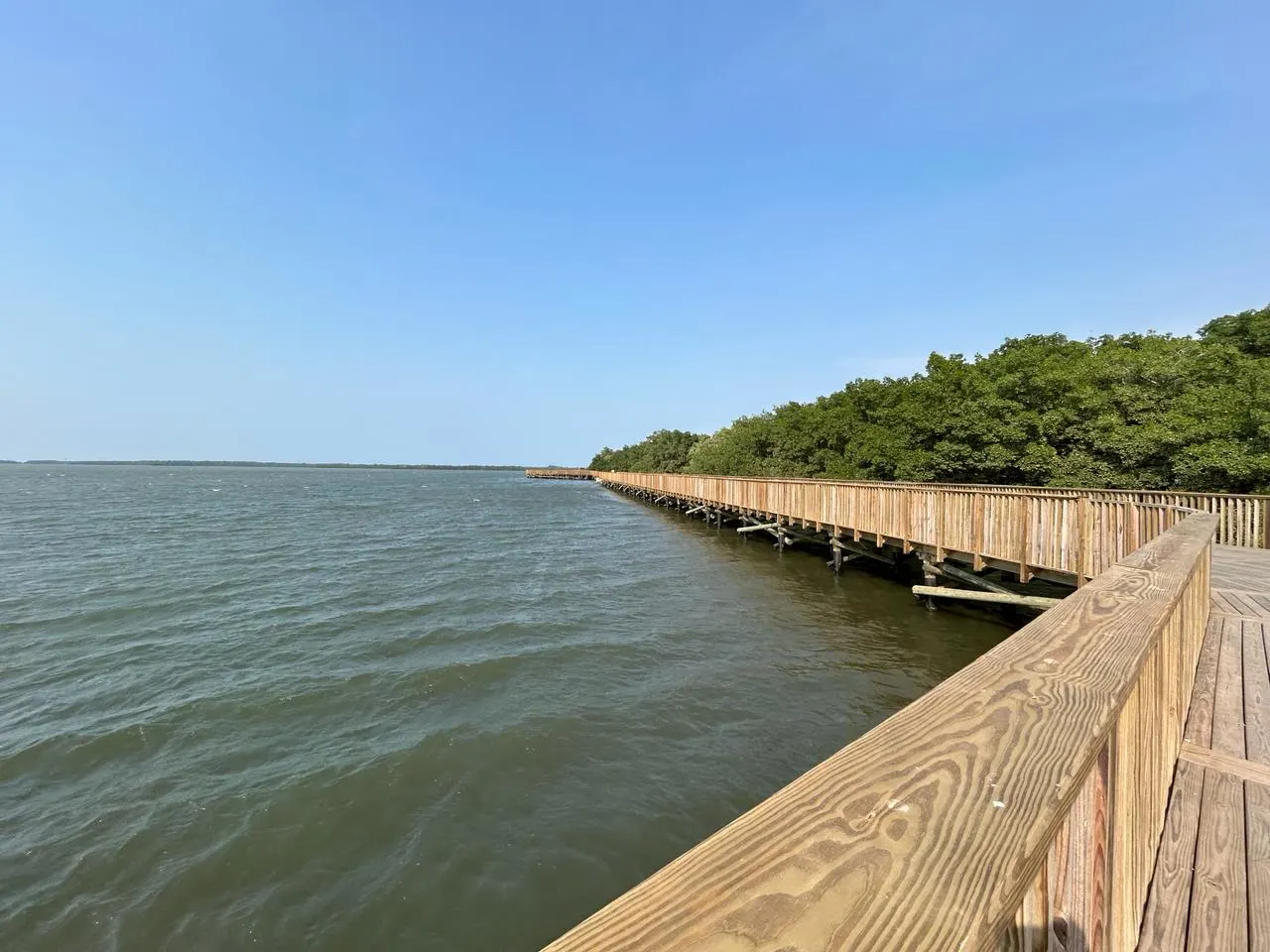 Ciénaga de Mallorquín Ecopark, Barranquilla, Atlántico, Colombia