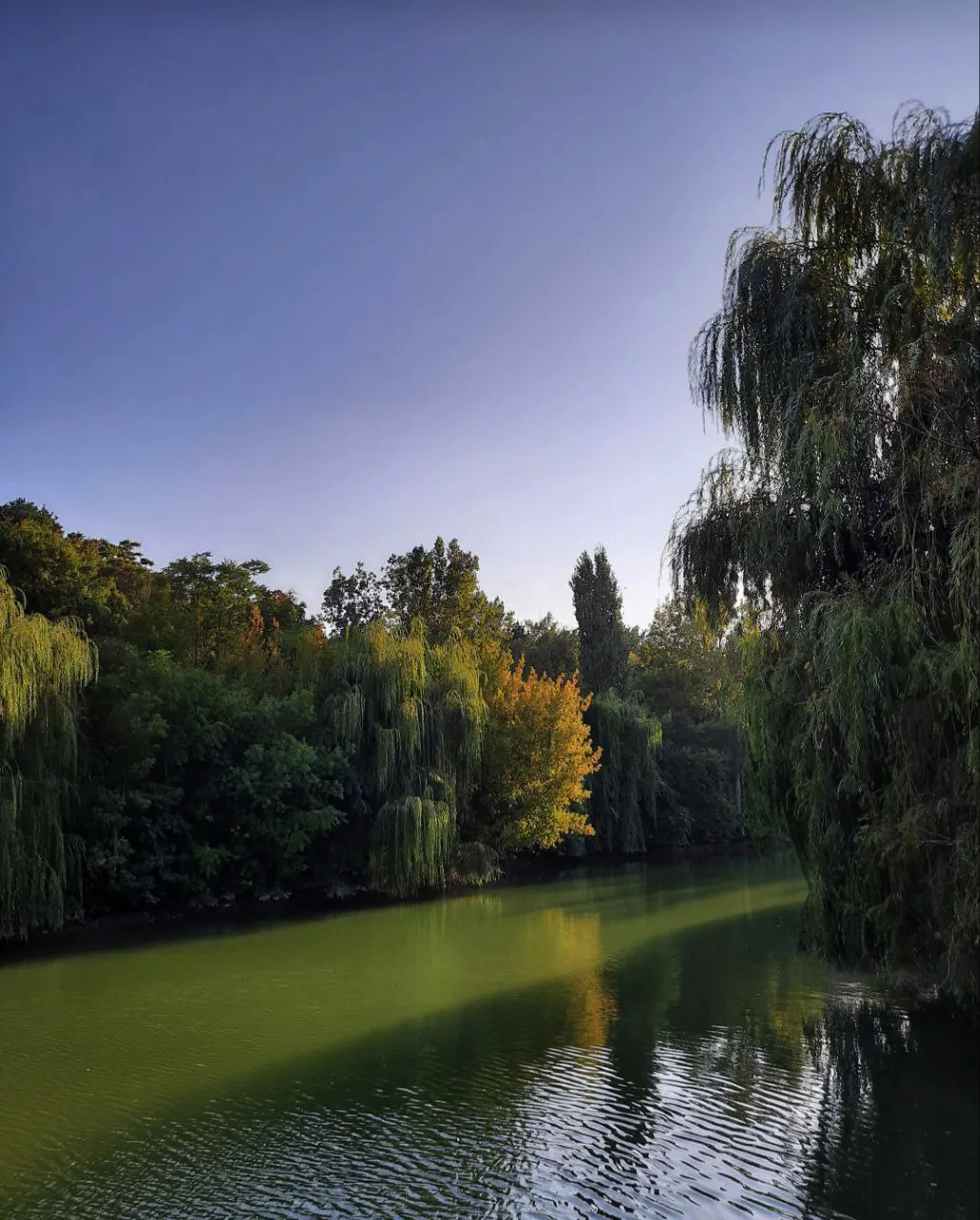 Shymkent Dendropark, Shymkent, Shymkent, Kazakhstan
