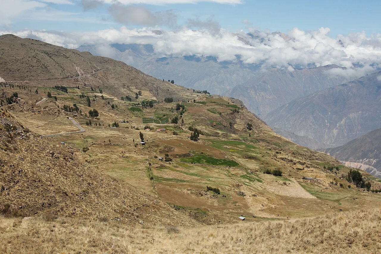 Colca Canyon, Arequipa, Arequipa, Peru
