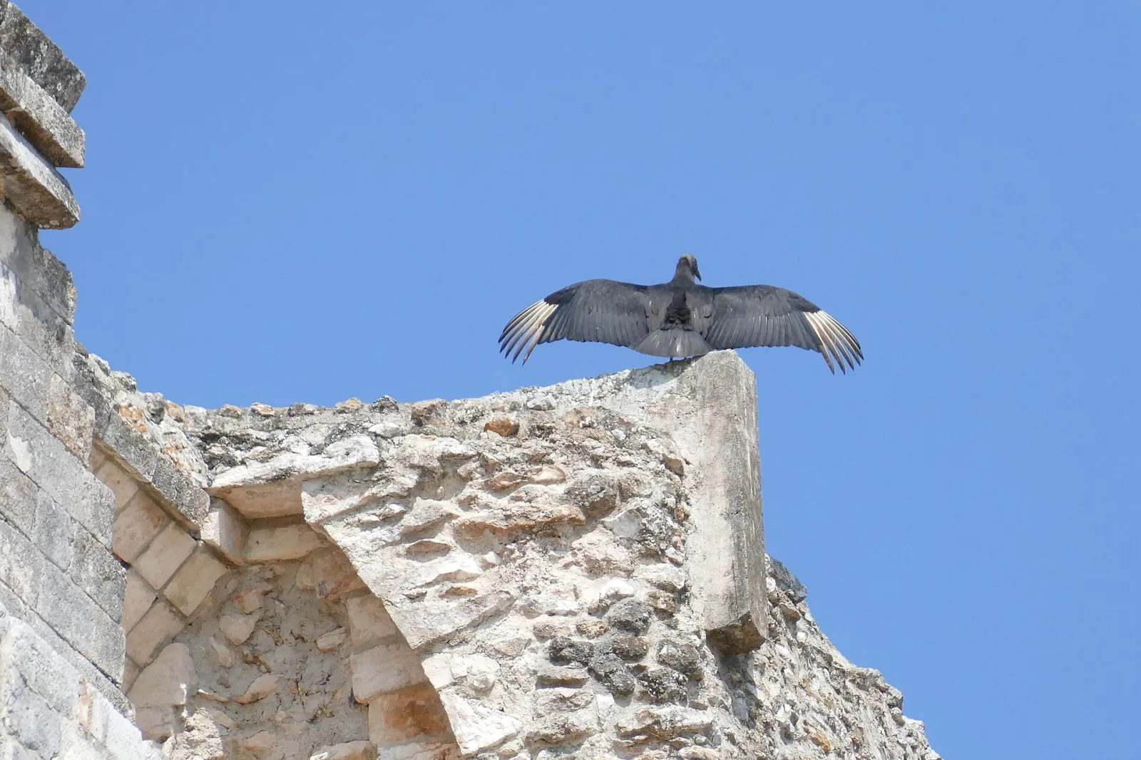 Pyramid of the Magician, Uxmal, Yucatán, Mexico