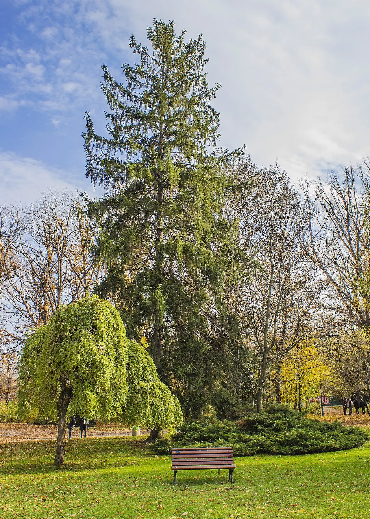 Borisova Gradina, Sofia, Sofia-Capital, Bulgaria