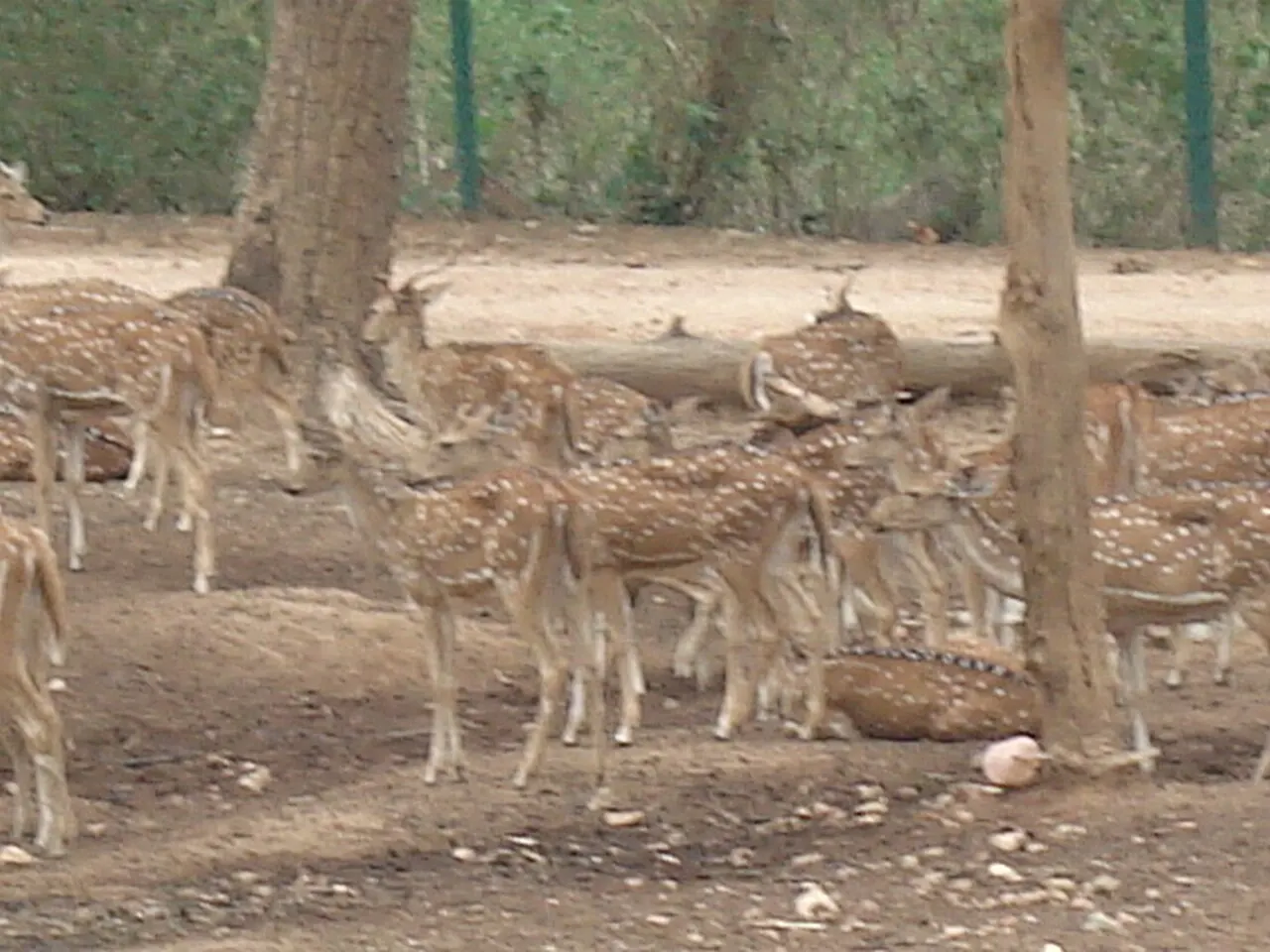 Bhagwan Birsa Biological Park, Ranchi, Jharkhand, India