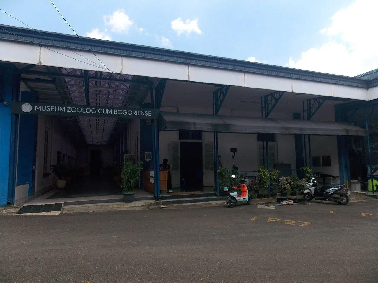 Bogor Zoology Museum, Bogor, West Java, Indonesia