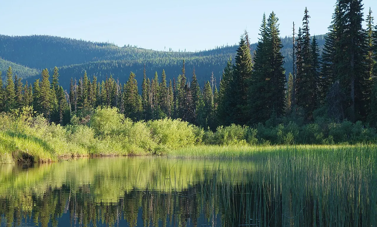 Bowron Lake Provincial Park, Barkerville, British Columbia, Canada