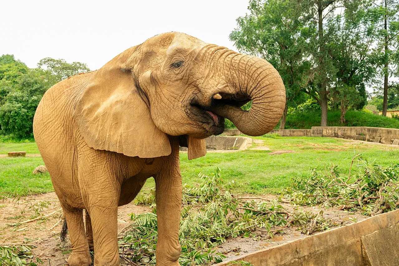 Jos Wildlife Park, Jos, Plateau State, Nigeria
