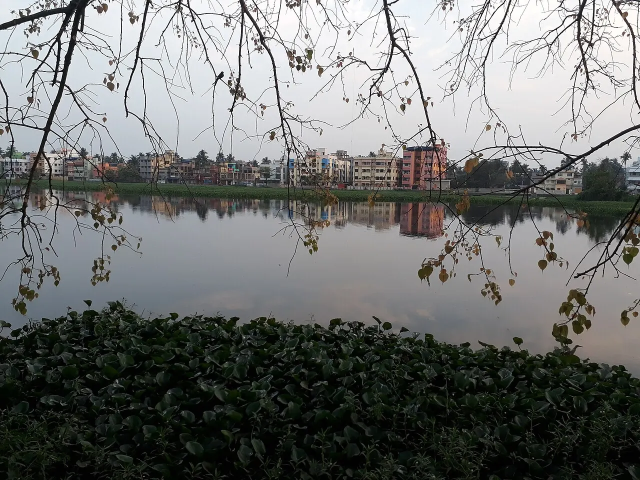 Santragachi Lake, Howrah, West Bengal, India