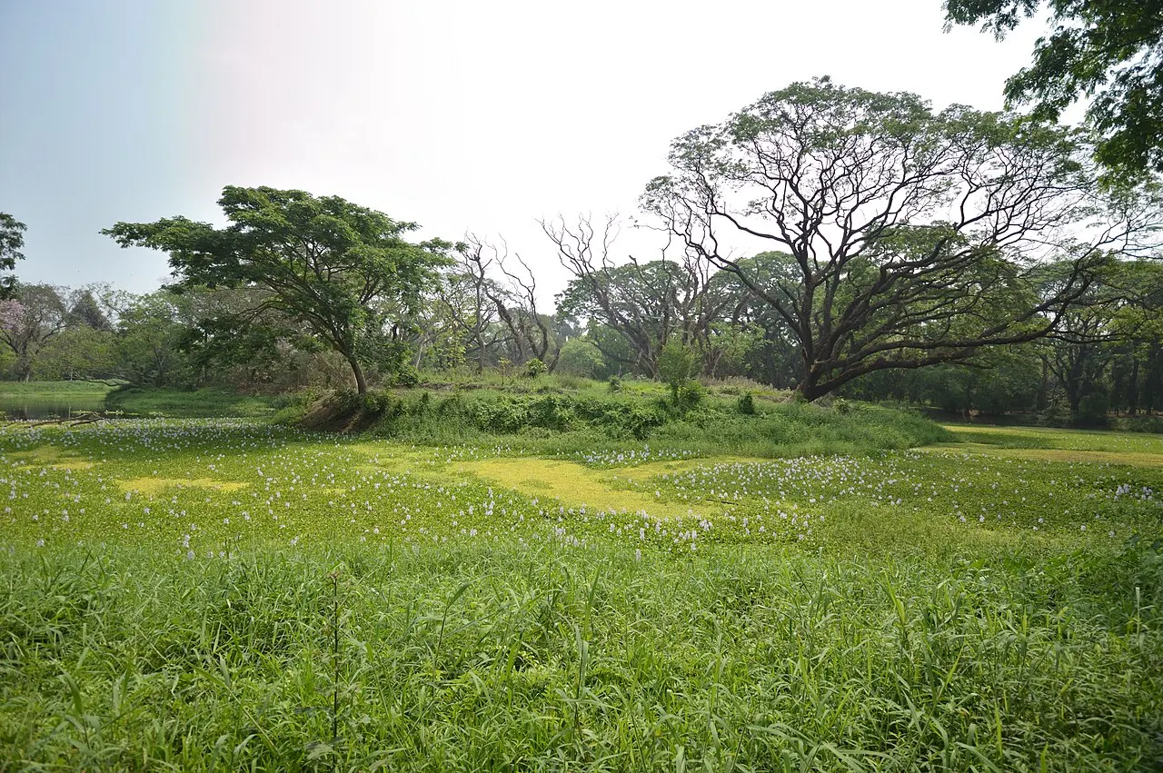 Indian Botanic Garden Howrah, Howrah, West Bengal, India