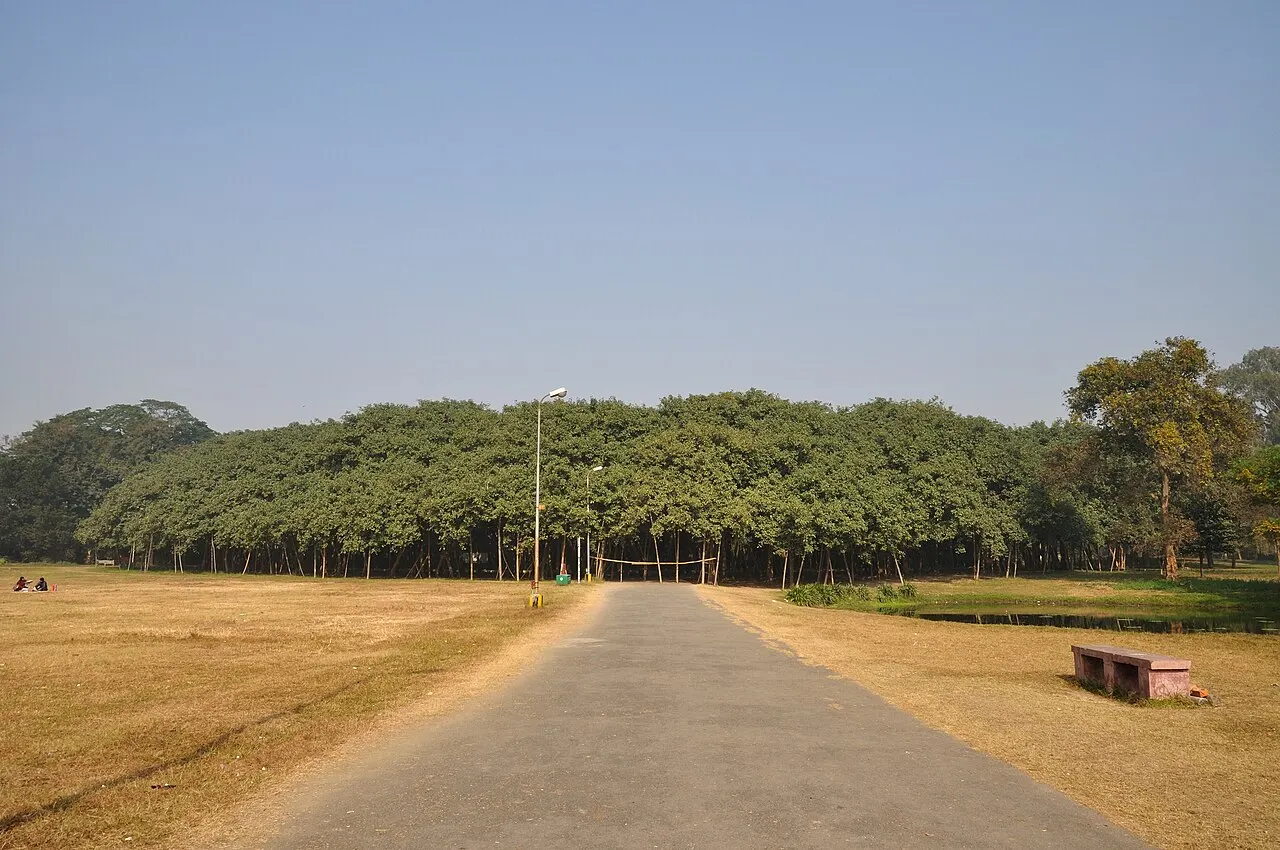 The Great Banyan, Howrah, West Bengal, India