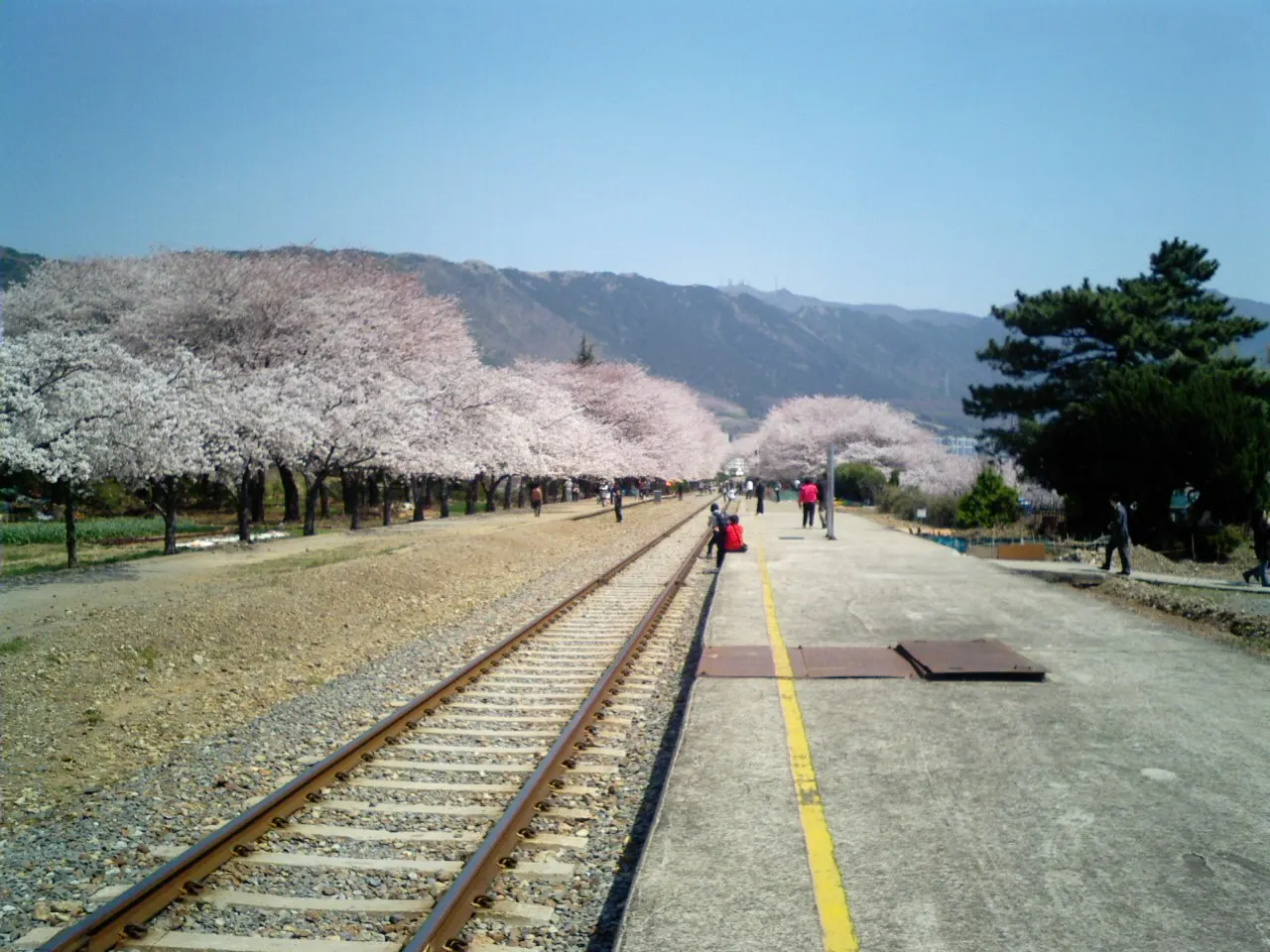 Changwon, Gyeongsangnam-do, South Korea
