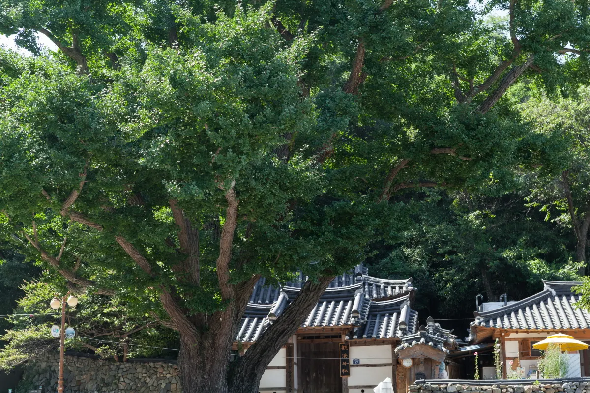 Gwanhaejeong, Changwon, Gyeongsangnam-do, South Korea