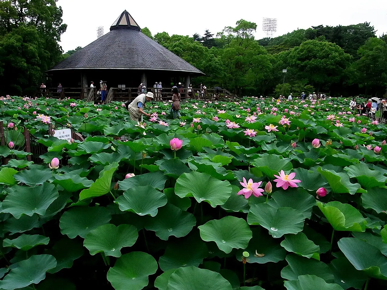 Chiba Park, Chiba, Chiba, Japan
