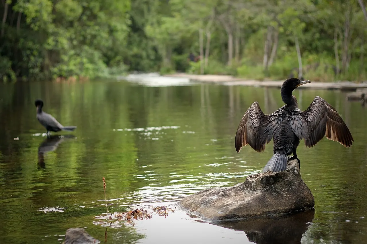 La Llovizna Park, Ciudad Guayana, Bolívar, Venezuela