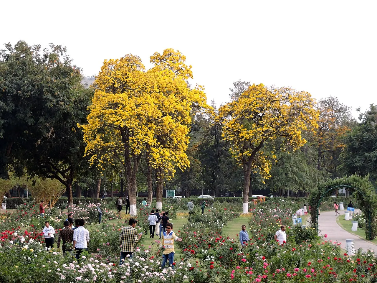 Zakir Hussain Rose Garden, Chandigarh, Chandigarh, India