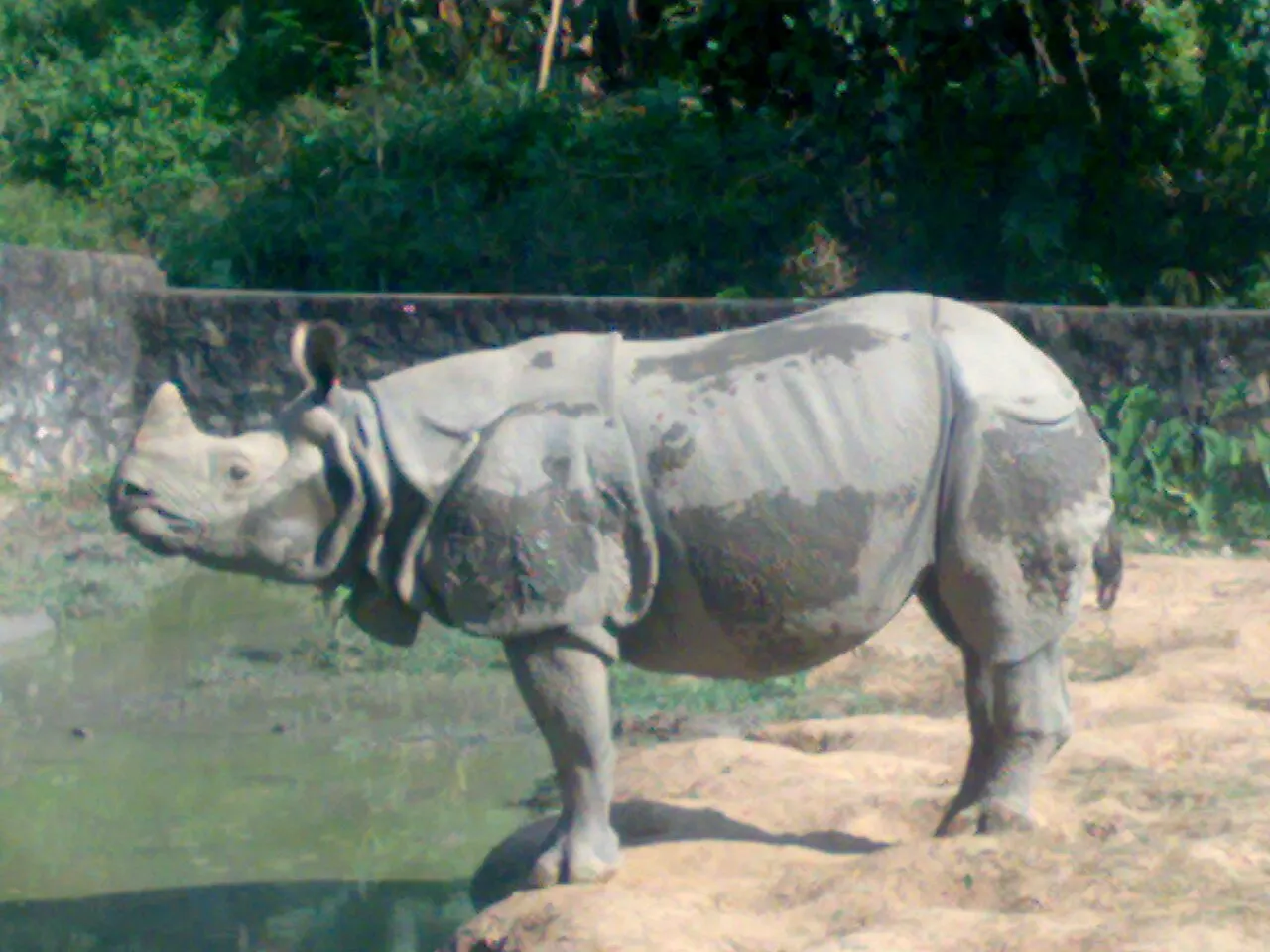 Assam State Zoo, Guwahati, Assam, India