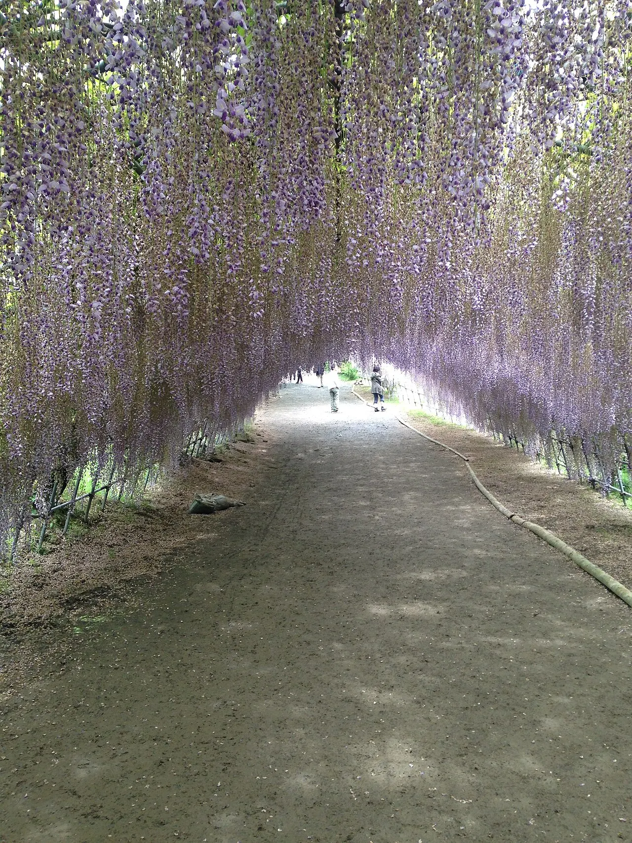 Kawachi Fujien, Kitakyushu, Fukuoka, Japan