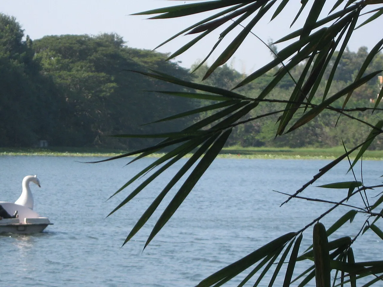 Karanji Lake, Mysuru, Karnataka, India