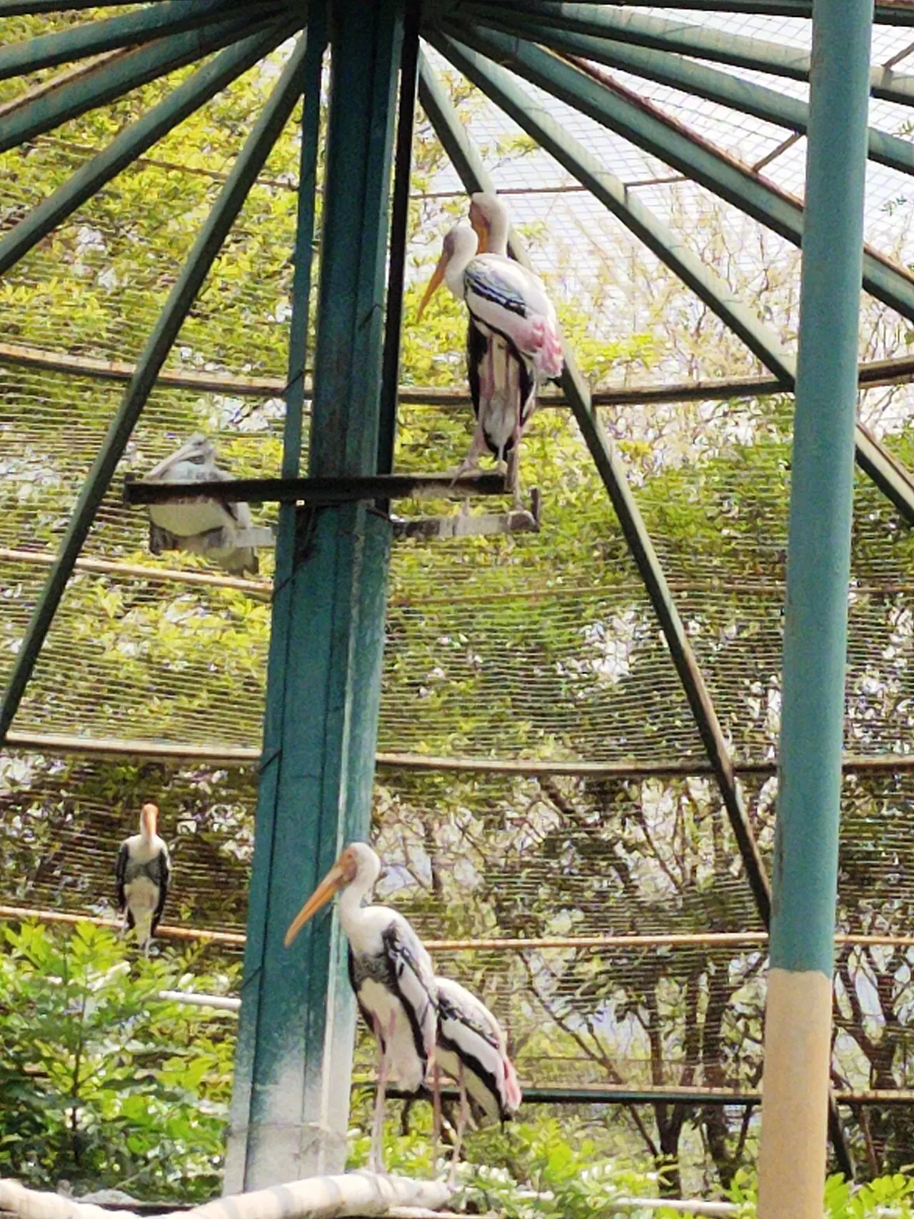 Kurumbapatti Zoological Park, Salem, Tamil Nadu, India
