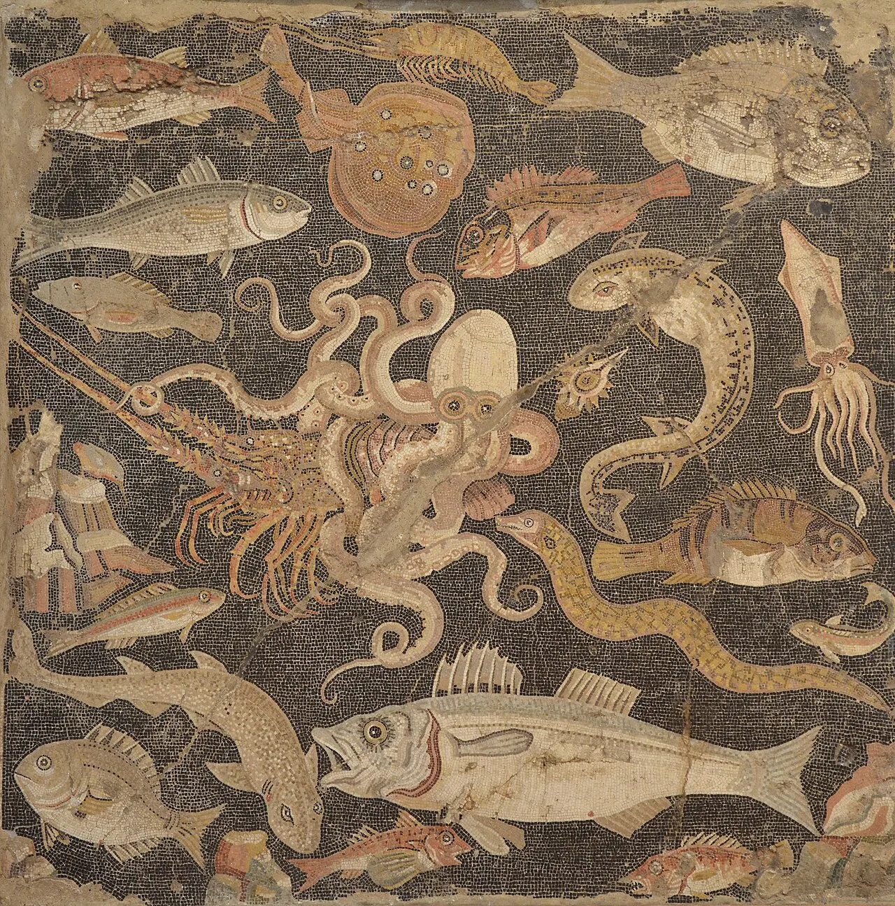 National Archaeological Museum of Naples, Naples, Campania, Italy