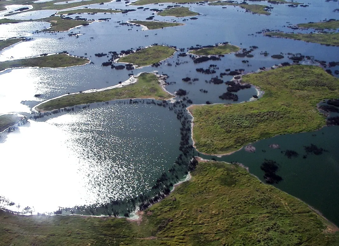 Pantanal, Campo Grande, Mato Grosso do Sul, Brazil