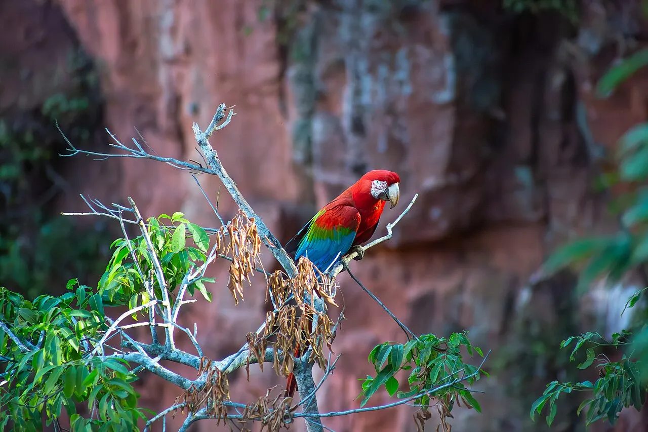 Buraco das Araras, Campo Grande, Mato Grosso do Sul, Brazil