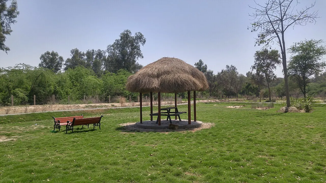 Lal Suhanra National Park, Bahawalpur, Punjab, Pakistan