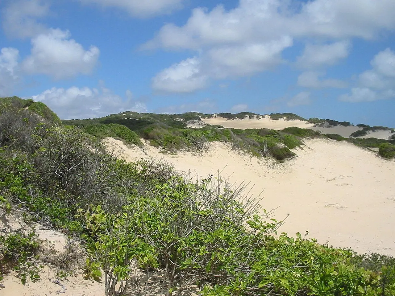 Parque das Dunas, Natal, Rio Grande do Norte, Brazil