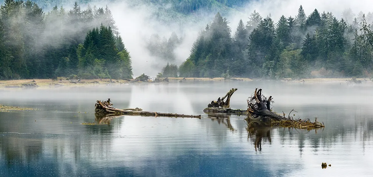 San Juan River Estuary, Port Renfrew, British Columbia, Canada