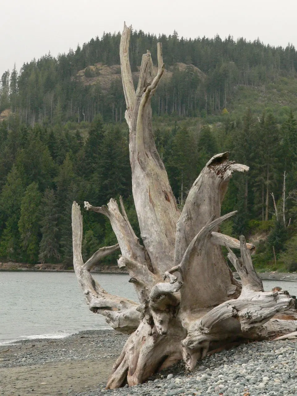 French Beach Provincial Park, Sooke, British Columbia, Canada