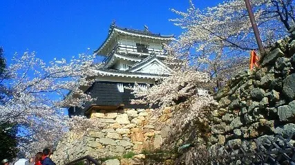 Hamamatsu, Shizuoka, Japan