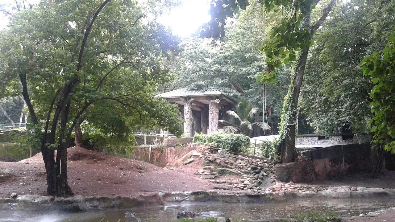 Thiruvananthapuram Zoo, Thiruvananthapuram, Kerala, India