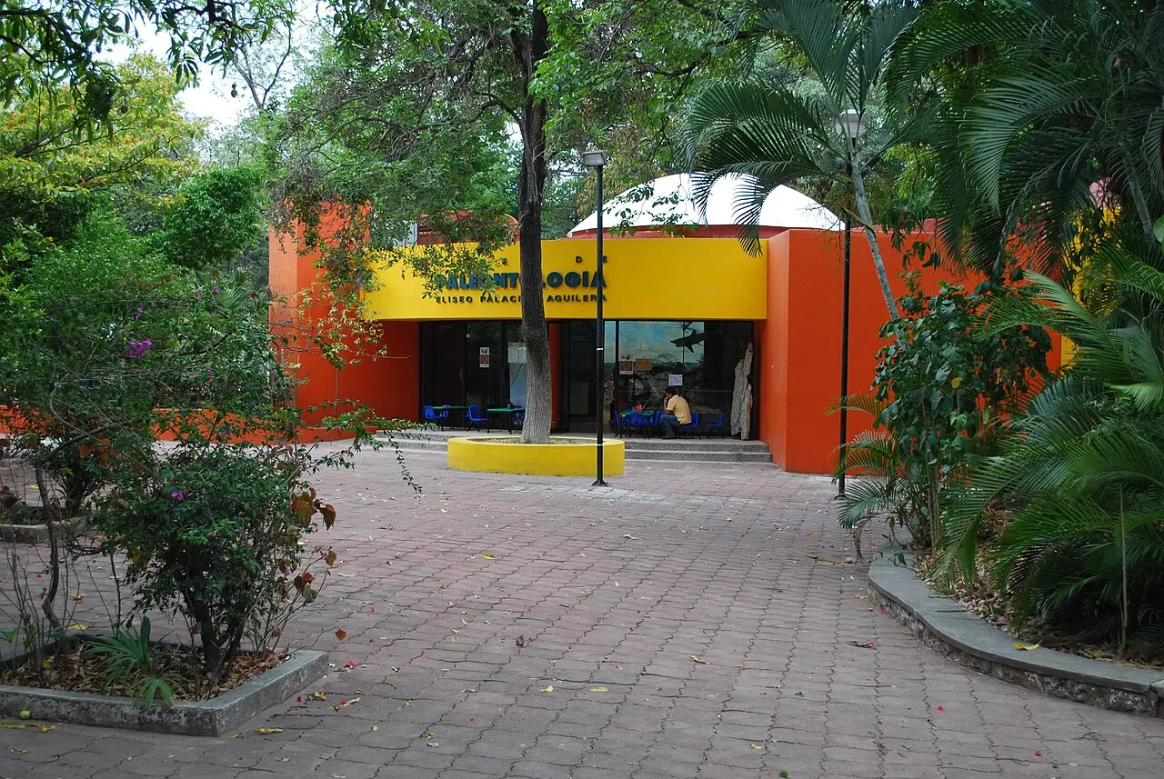 Museo de Paleontología Eliseo Palacios Aguilera, Tuxtla Gutiérrez, Chiapas, Mexico