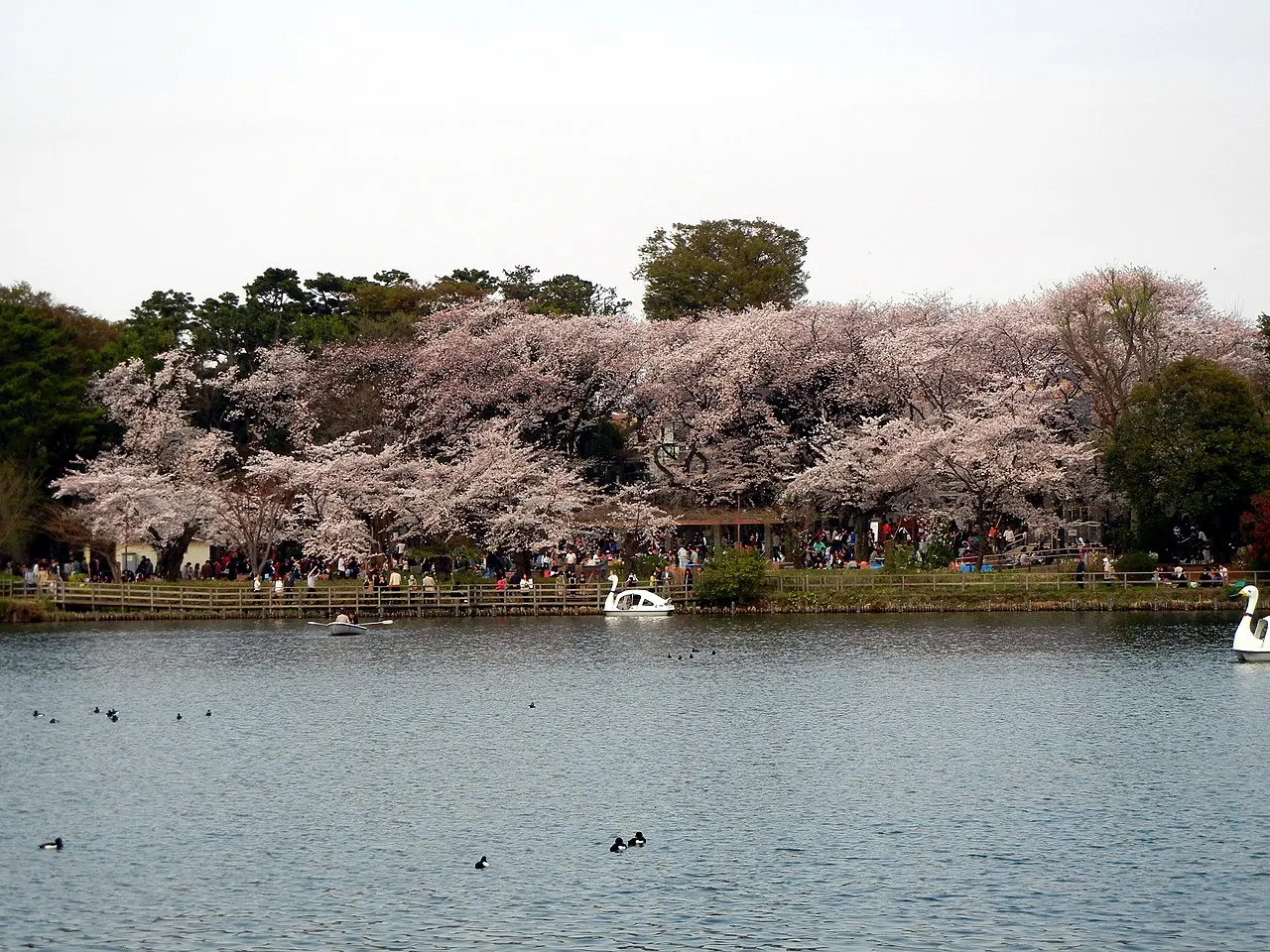 Senzokuike Park, Ōta, Tokyo, Japan
