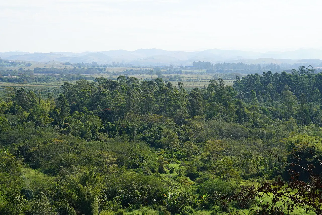 Banhado, São José dos Campos, São Paulo, Brazil