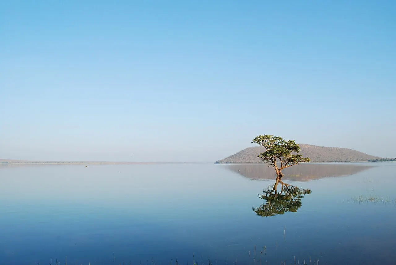 Pakhal Lake, Warangal, Telangana, India