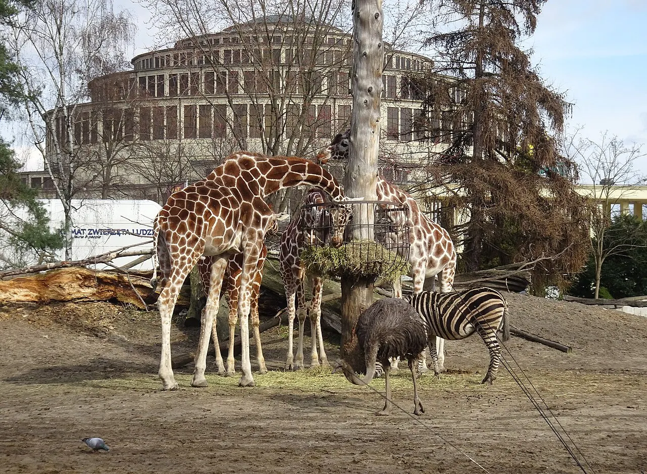 Wrocław Zoo, Wrocław, Lower Silesia, Poland