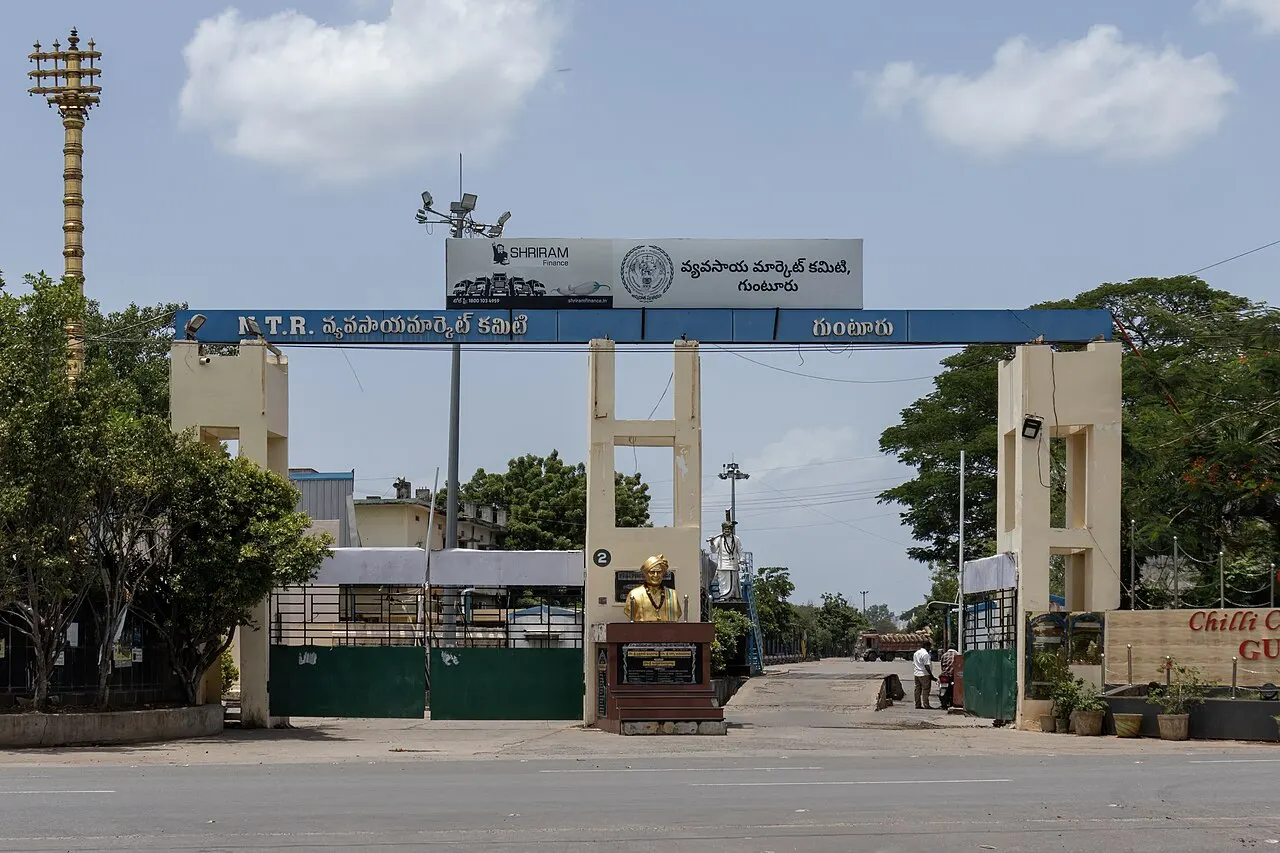 Guntur Mirchi Yard, Guntur, Andhra Pradesh, India