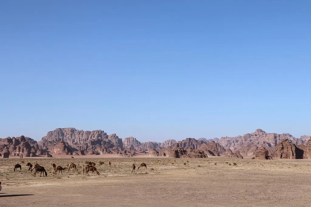 Hisma Desert, Tabuk, Tabuk Region, Saudi Arabia
