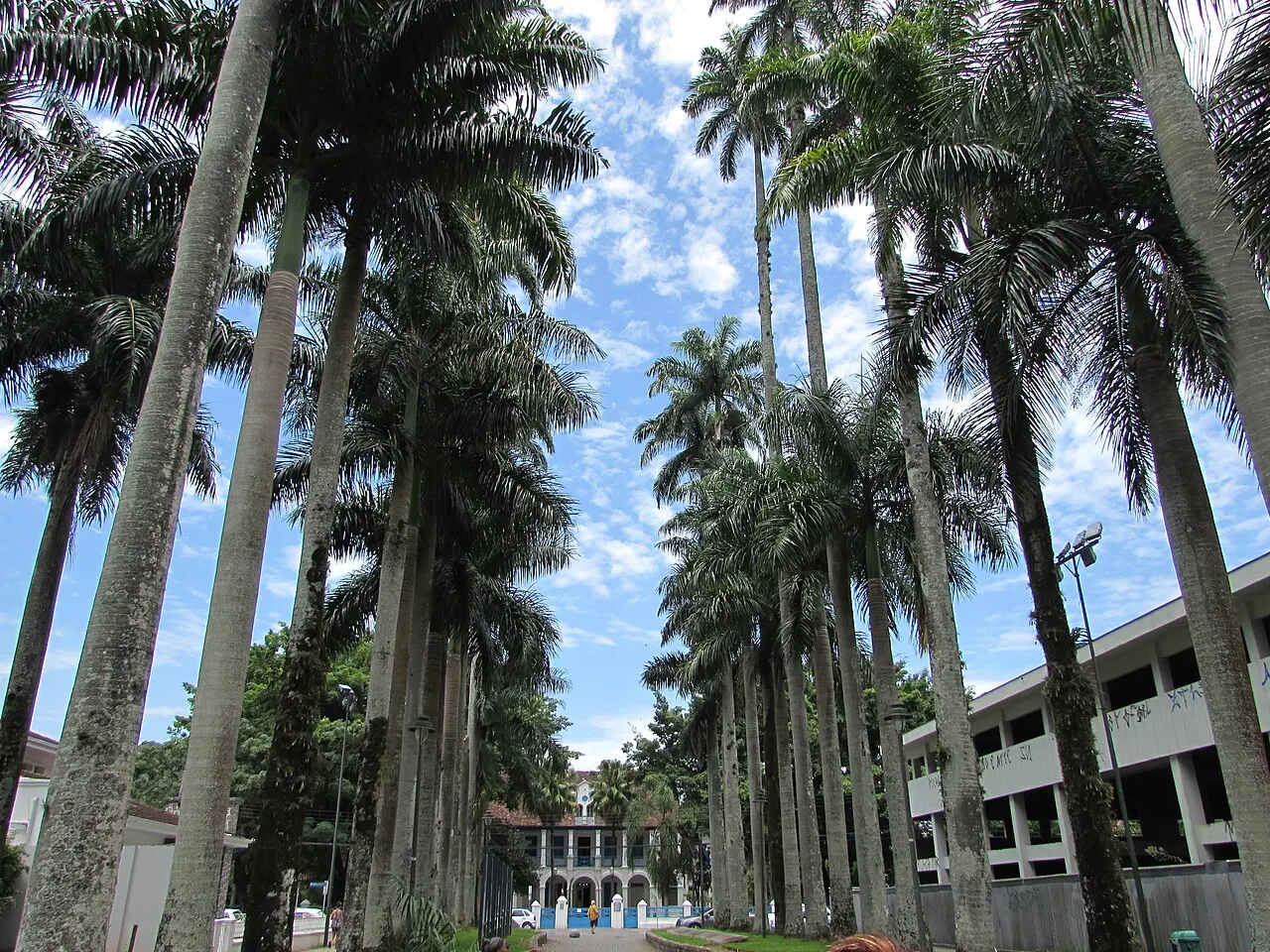 Joinville, Santa Catarina, Brazil