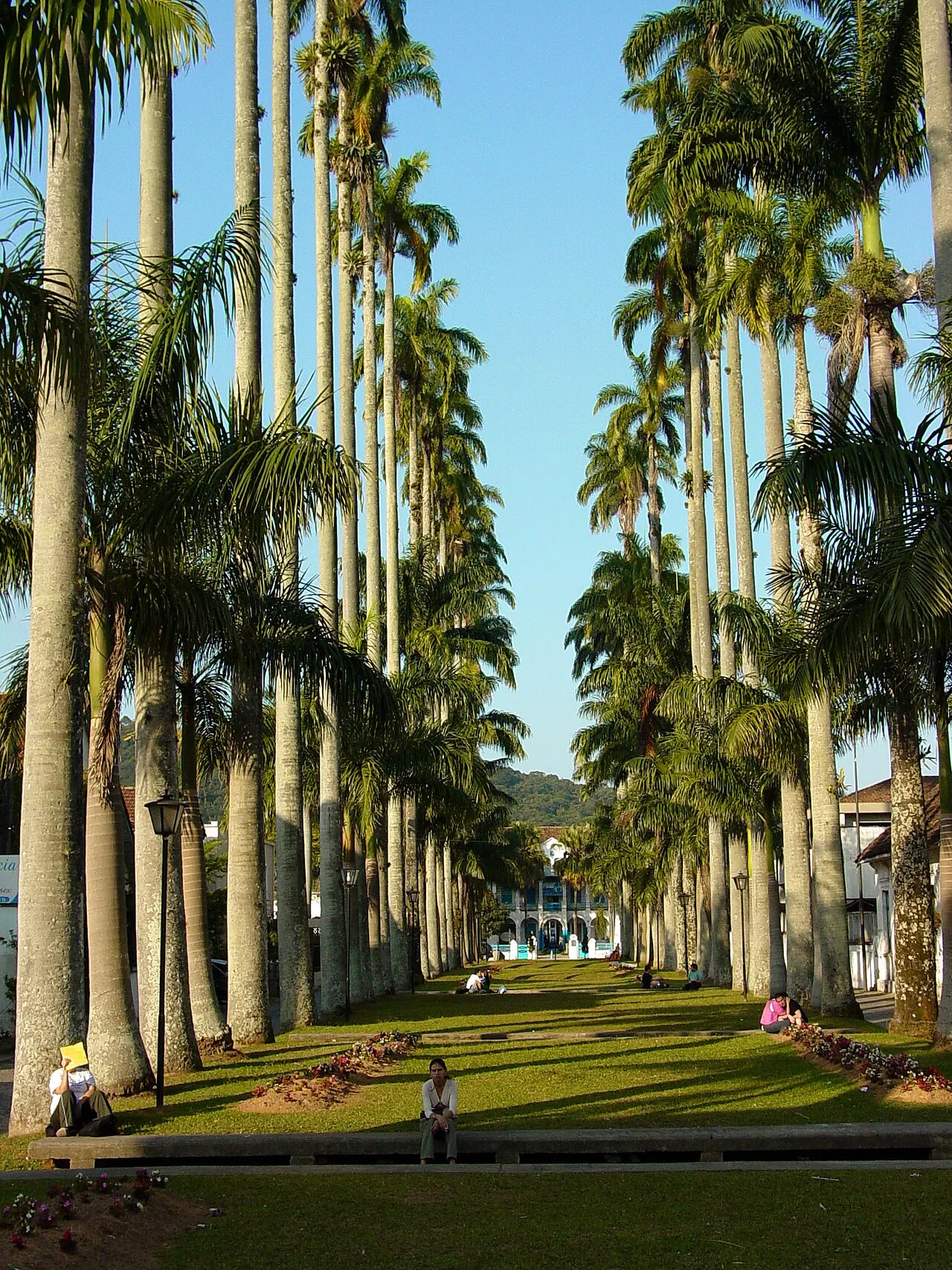 Rua das Palmeiras, Joinville, Santa Catarina, Brazil