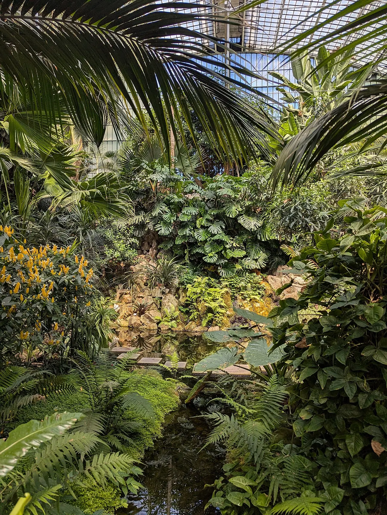 Palmengarten, Frankfurt am Main, Hesse, Germany
