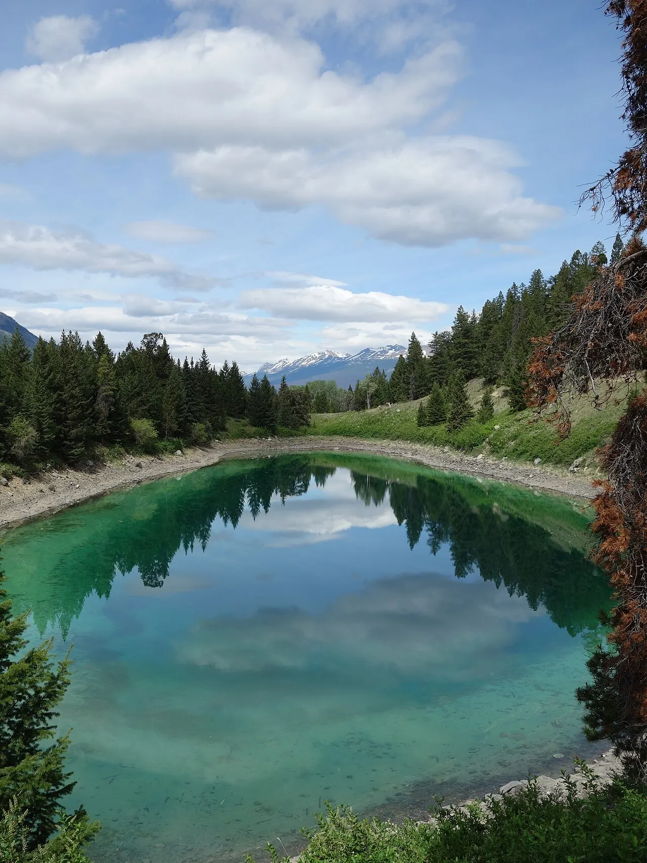 Valley of the Five Lakes, Jasper National Park, Alberta, Canada