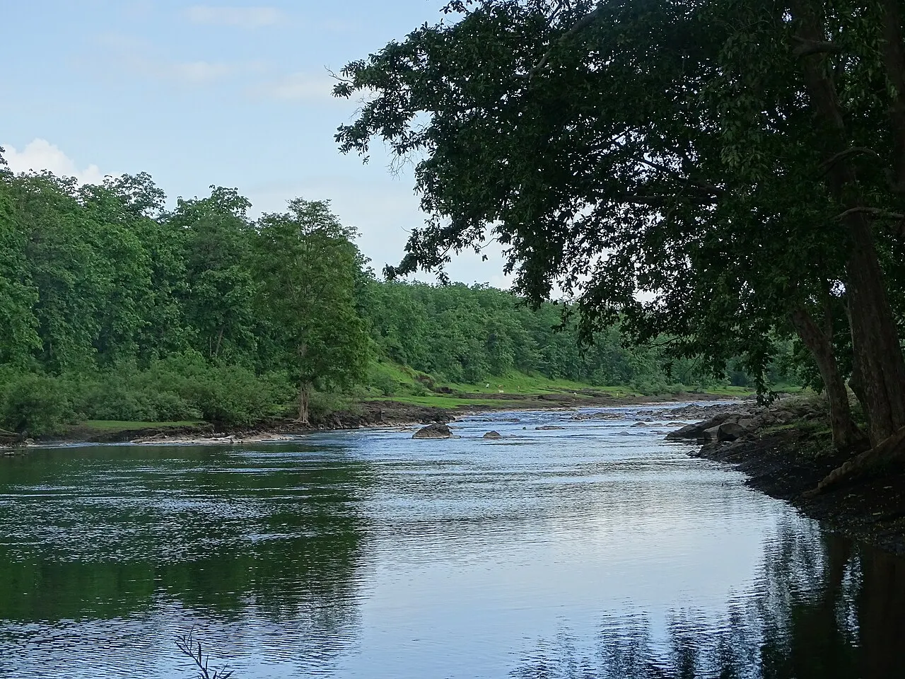 Gugamal National Park, Amravati, Maharashtra, India