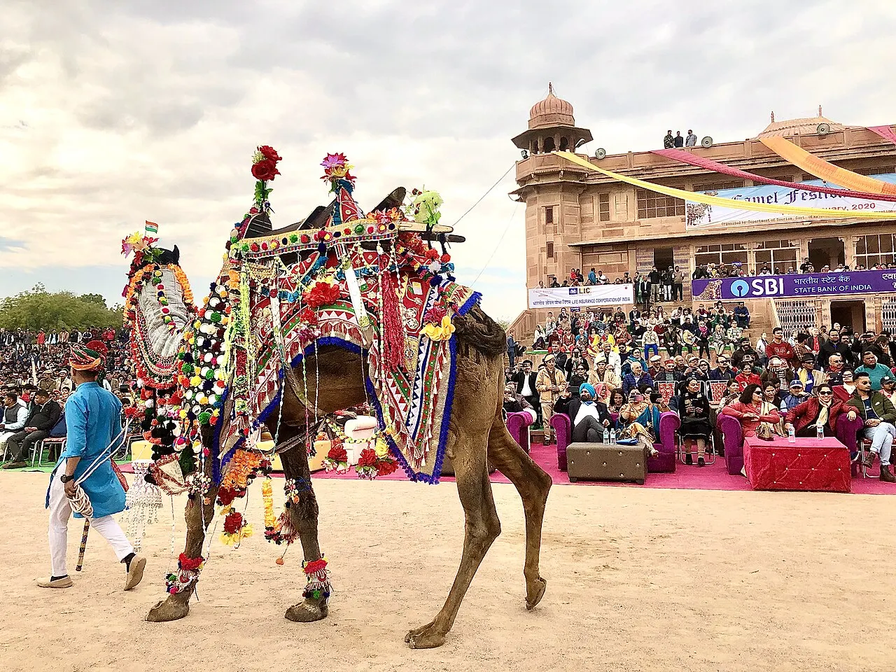 Bikaner Camel Festival, Bikaner, Rajasthan, India