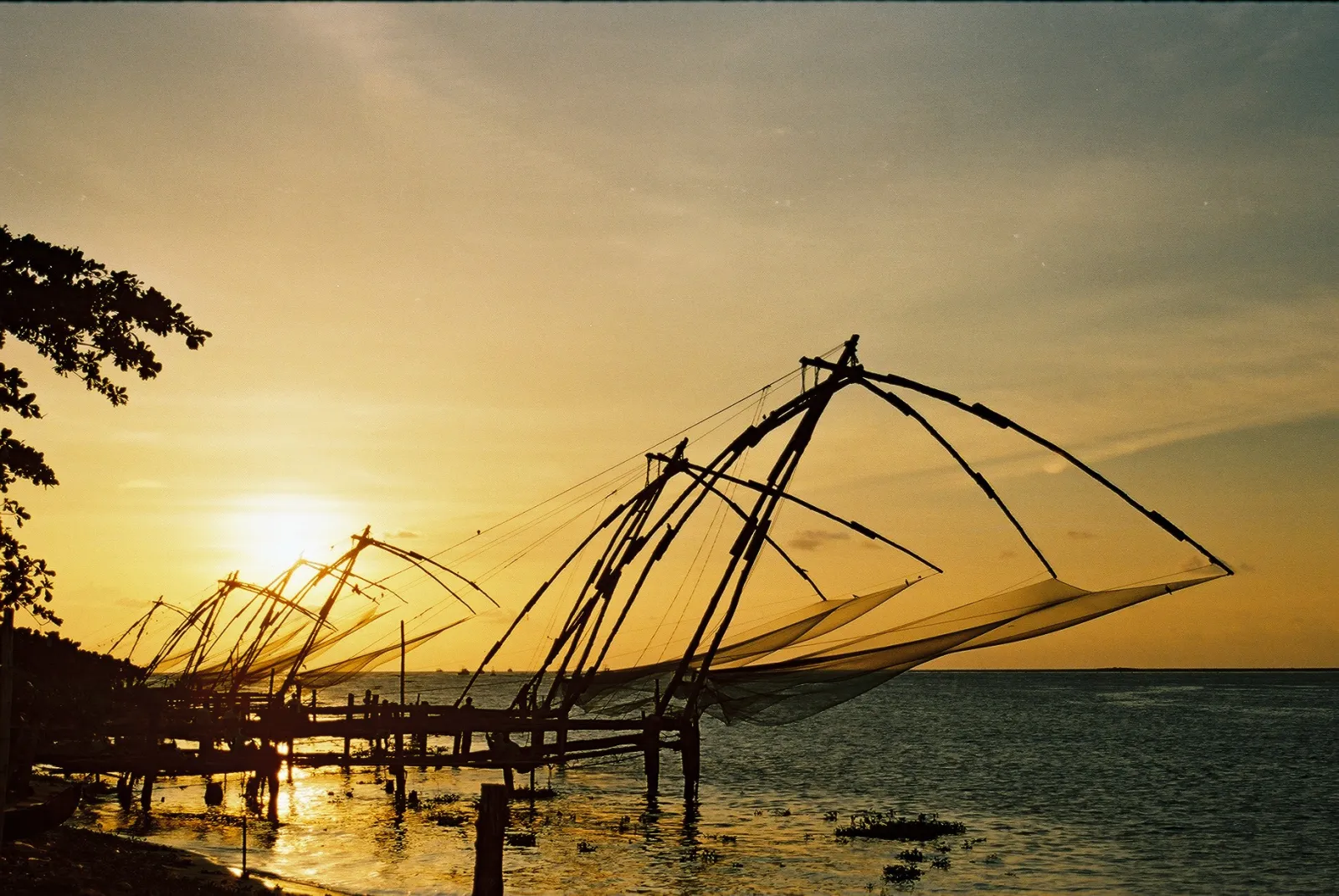 Kochi, Kerala, India