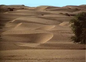 Sechura Desert, Piura, Piura, Peru