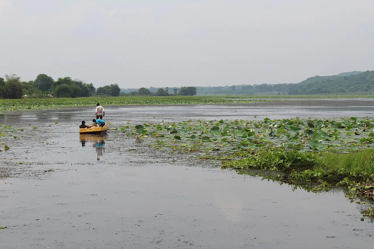 Ansupa Lake, Cuttack, Odisha, India