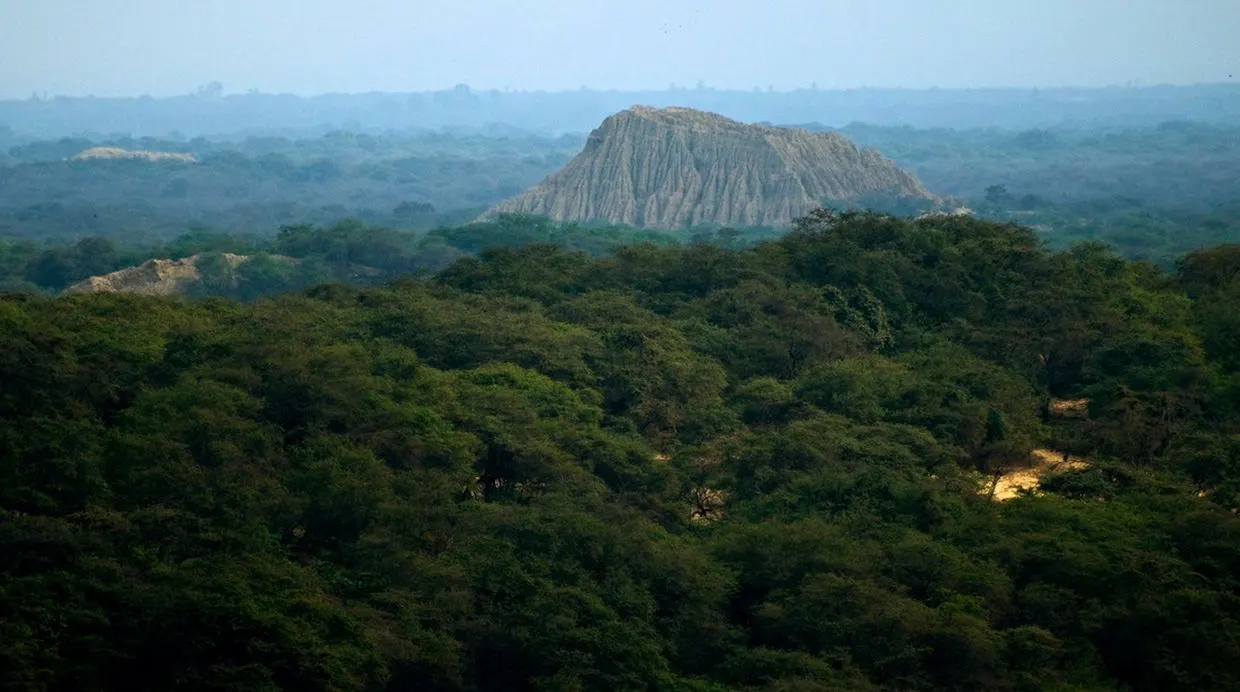 Bosque de Pómac, Chiclayo, Lambayeque, Peru