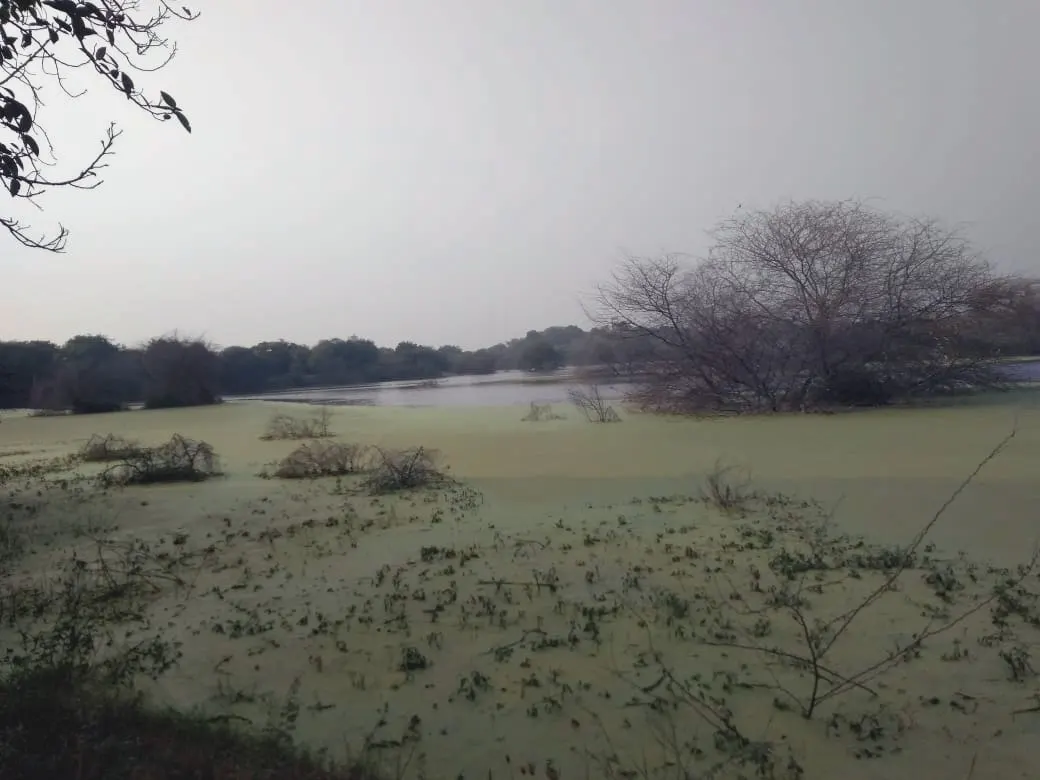 Victoria Park, Bhavnagar, Gujarat, India